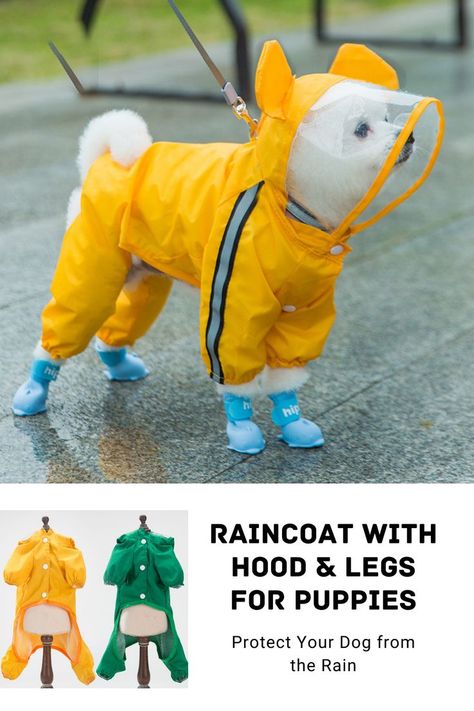 Protect your dog from the rain Raincoat For Dogs, Raincoat With Hood, Dog Bed Mat, Pet Kennels, Led Dog Collar, Dog Sofa Bed, Pampered Pooch, Dog Car Seat Cover, Dog Car Seats