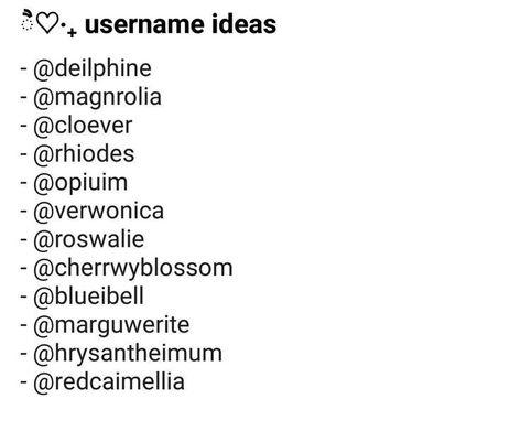 New Jeans Username Ideas, Rose Username Ideas, Skz Username Ideas, User Ideas, Aesthetic Converse, Usernames For Instagram, Aesthetic Usernames, Fruit Names, Y2k Profile Picture