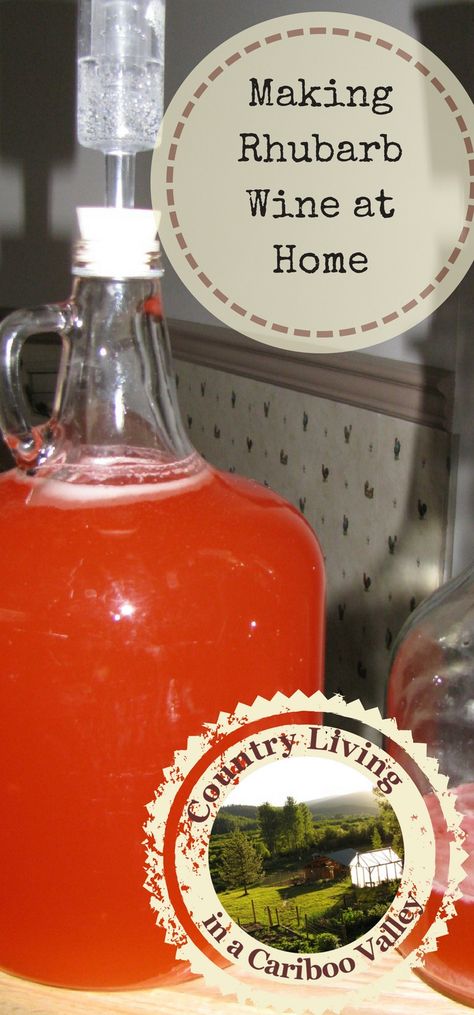 Rhubarb Wine Recipe, Rhubarb Wine, Wine Making Recipes, Wine At Home, Different Types Of Wine, Make Your Own Wine, Wine Recipe, Pinot Noir Wine, Liqueurs Recipes