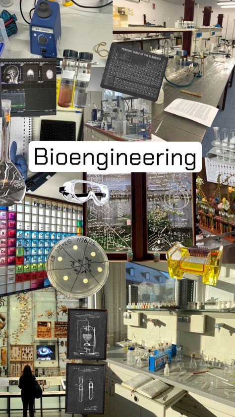 #bioengineering #engineering #biology #study Biology Major, Medical Engineering, College Vision Board, Law School Inspiration, Basic Anatomy And Physiology, Robotics Engineering, Med School Motivation, Medical Laboratory Science, Career Vision Board