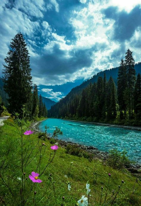 Gurez Valley, Kashmir #India Gurez Valley Kashmir, Kashmir India Beauty, India Asthetic Pics, Kashmir Background, Kashmir Aesthetic Pictures, Kashmir Flowers, Kashmir Landscape, Kashmir Pics, Kashmir Culture