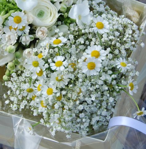 Flower girl posies of gypsophila and daisies Daisy And Gypsophila Bouquet, Gypsophila Bouquet, French Flowers, Craft Packaging, Baby S Breath, 2024 Vision, 21st Birthday, Phone Wallpapers, Pretty Flowers