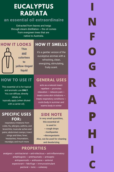 An infographic about the benefits of eucalyptus radiata essential oil Eucalyptus Oil Benefits For Skin, Eucalyptus Properties Magic, Magical Properties Of Eucalyptus, Eucalyptus Oil Benefits, Eculyptus Essential Oil Benefits, Eucalyptus Radiata, Essential Oils For Nausea, Types Of Eucalyptus, Goat Milk Recipes