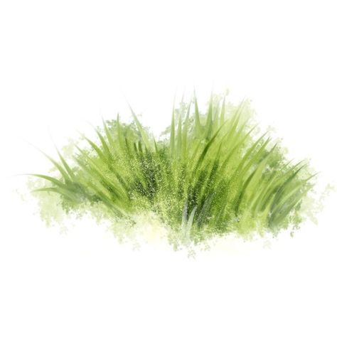 Grass Photoshop, Grass Plants, Architecture Drawing Presentation, Architecture Portfolio Layout, Architecture Drawing Sketchbooks, Architecture Drawing Plan, Architecture Portfolio Design, Conceptual Architecture, Architecture Collage