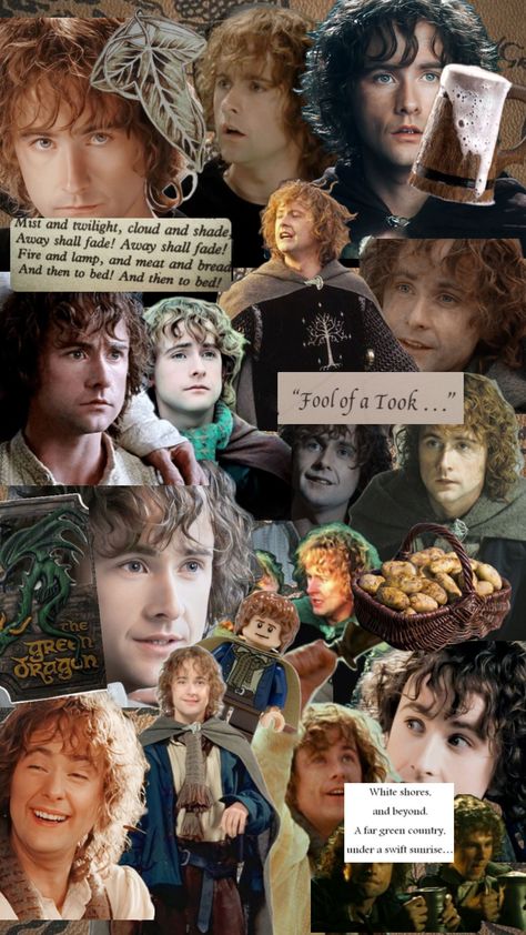 Pippin took #lordoftherings #lotr #jrrtolkien #pippin #pippintook Lord Of The Rings Pippin, Pippin Lotr, Lotr Characters, Merry And Pippin, Green Country, Jrr Tolkien, The Rings, Lord Of The Rings, Tolkien