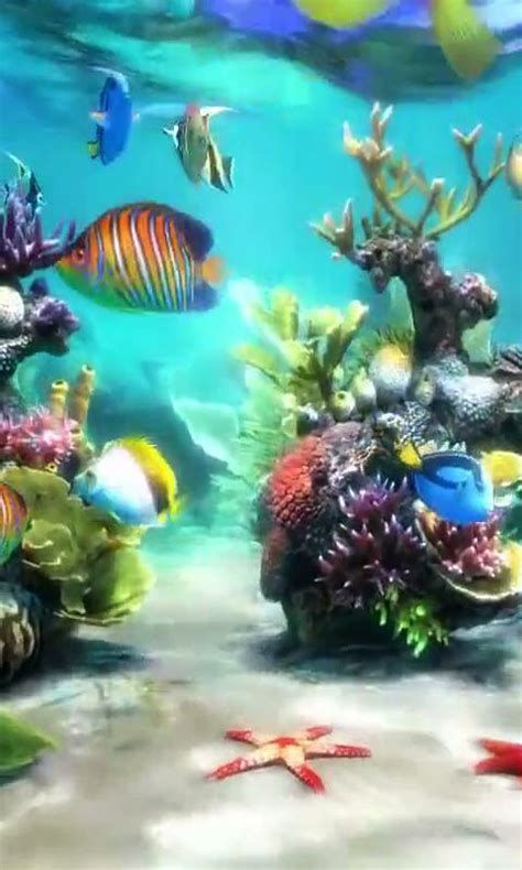 Aquarium Wallpaper, Aquarium Live Wallpaper, Live Fish Wallpaper, Ikan Air Tawar, Fish Background, Fish Gallery, Wild Animal Wallpaper, Free Live Wallpapers, Live Aquarium