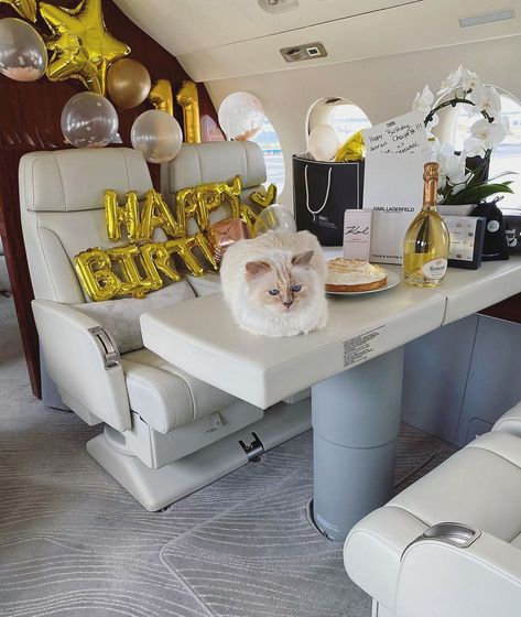 Choupette Lagerfeld, Luxury Private Jets, Luxury Birthday, Birthday Party Theme Decorations, Private Jets, Forever Living Products, Rich Kids, Chanel Fashion, Air Travel