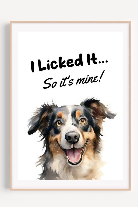 Funny Digital Australian Shepherd Quote Australian Shepherd Quotes, Shepherd Illustration, Dog Illustration Art, Shepherd Quotes, Dorm Room Gifts, Art Dorm Room, Illustration Dog, Dog Watercolor, Dog Humor