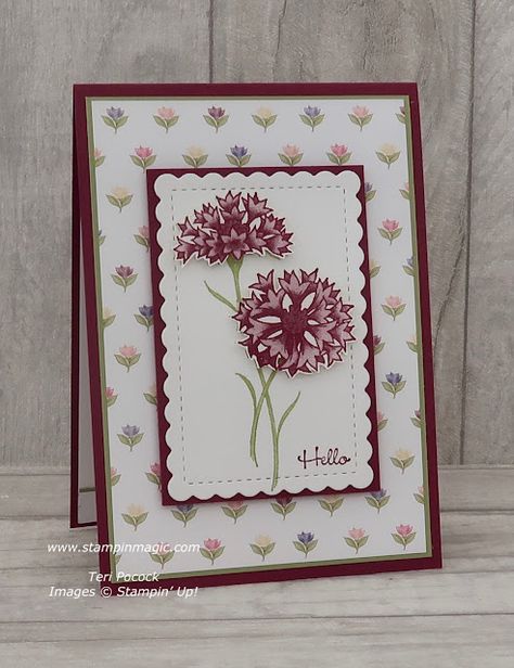 Stampin Up Wonderful World, Cards Design Ideas, Handmade Flower Pot, Card Design Ideas, Designer Paper Cards, Stampin Up Birthday Cards, Card Gifts, Stamped Christmas Cards, Stamping Cards