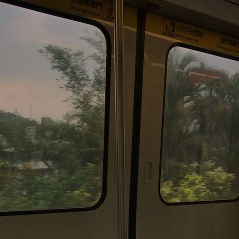 A Train, The Back, Trees, Train, Green