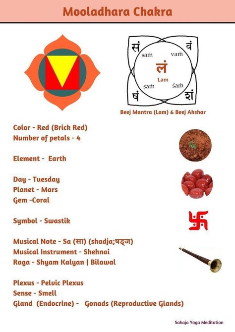 Chakras Drawing, Chakra Workshop, Mooladhara Chakra, Kriya Yoga Meditation, Chakra Meditation Guided, Chakra Images, Chakra Locations, Sahaja Yoga Meditation, Chakra Mantra