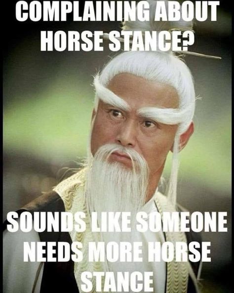 Horse stance Martial Arts Humor, Martial Arts Sparring, Martial Arts Quotes, Karate Training, Best Martial Arts, Karate Martial Arts, Martial Arts School, Pencak Silat, Martial Arts Techniques