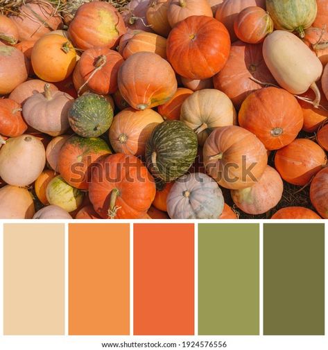 Halloween Color Palette, Autumn Color Palette Fashion, Thanksgiving Color, Autumn Cards, Color Palette Challenge, Icing Colors, Fall Color Palette, Pumpkin Colors, Color Palette Design