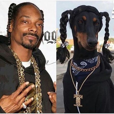 Me. N my dogg. by snoopdogg Snoop Dog Meme, Snoop Dogg Funny, Rapper Costume, Small Black Dog, Puppy Photography, Dog Meme, What Kind Of Dog, Dog Best Friend, Diy Halloween Costumes Easy