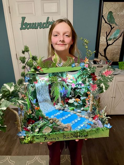 Rainforest Crafts, Rainforest Project, Rainforest Biome, Diorama Kids, Habitats Projects, مشروعات العلوم, Creative School Project Ideas, Candy Land Christmas Decorations Diy, Christmas Float