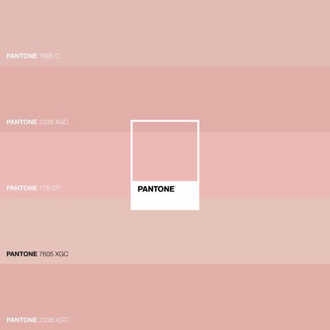 #Pantone Blush hues #luxurydotcom Bride Bedroom, Blushing Bride, Packaging Design Inspiration, Blush Color, Color Palettes, Packaging Design, Bedroom Decor, Blush, Design Inspiration