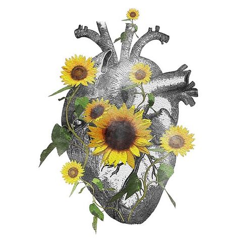 Human Flower, Sunflowers Watercolor, Blooming Heart, Anatomical Heart Tattoo, Heart Watercolor, Sunflower Drawing, Art Sunflower, Tattoos Mandala, Logo Youtube