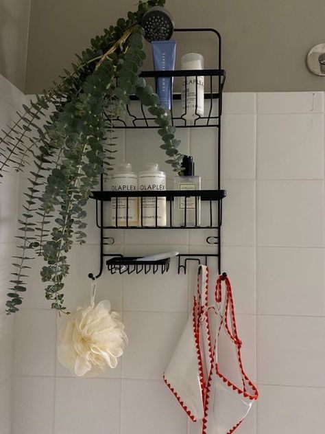 All Rhodes Lead Here, Shower Aesthetic, Apartment Decorating Living, College House, House Makeover, Shower Inspiration, Simple Room, Shower Time, Apartment Bathroom