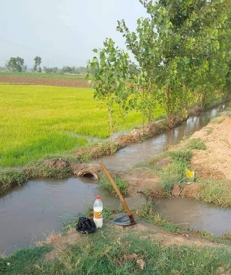 Nature Village Photography, Drawing Images Easy, Village Landscape Photography Nature, Haryana Culture, Village Landscape Photography, Village Snap, Agriculture Drawing, Village Images, Punjab Village