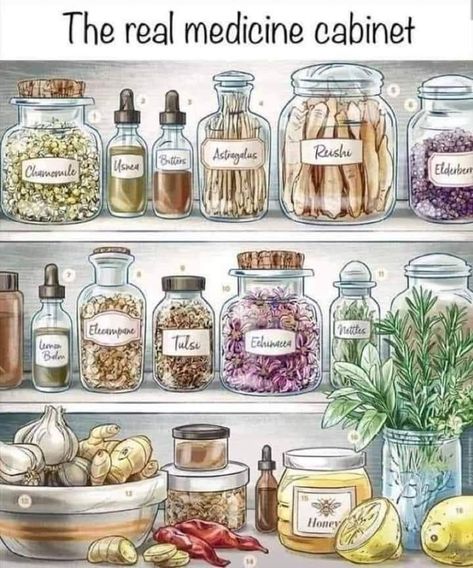 Herbal Medicine Cabinet, Plant Vegetables, Herbal Apothecary, Tired Eyes, Homemade Remedies, Natural Health Remedies, Medicinal Herbs, Natural Home Remedies, Lungs