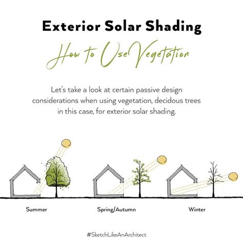 Sketch Like an Architect ™️ on Instagram: “[Swipe for Explanations] How To Use Vegetation for Exterior Solar Shading.⁠ One of the passive design strategies to prevent overheating in…” Passive Strategies Architecture, Passive Design Strategies Architecture, Passive Design Strategies, Solar Architecture, Solar Shading, Construction Details Architecture, Solar Heat, Passive Cooling, Design Strategies