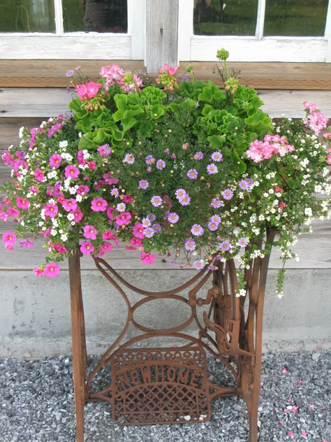 Planter from vintage sewing machine base Sewing Machine Ideas, Old Sewing Machine, Vintage Gardening, Garden Junk, Old Sewing Machines, Vintage Garden Decor, Antique Sewing Machines, Vintage Sewing Machine, Vintage Sewing Machines