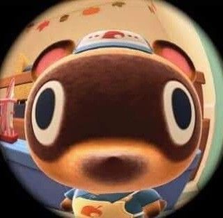 Animal Crossing Profile Picture, Fisheye Pfp, Animal Crossing Pfp, Brain Bleach, Tom Nook, Animal Crossing Funny, Animal Crossing Memes, Animal Crossing Characters, Cute Kawaii Animals