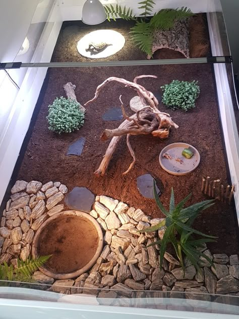 Tortoise Enclosure Indoor, Horsefield Tortoise, Tortoise Terrarium, Outdoor Tortoise Enclosure, Turtle Enclosure, Turtle Terrarium, Red Footed Tortoise, Turtle Homes, Tortoise House