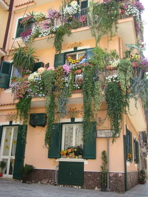 Balcony Flowers Apartment, Succulents Balcony, Mediterranean Balcony, Italian Balcony, Balcony Planting, Sicilia Italy, Small Balcony Garden, Balcony Flowers, Balcony Plants