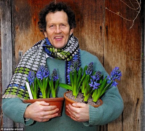 Blooming fabulous: Monty with his hyacinths Hyacinths Garden, Garden Spells, Hyacinth Plant, Hyacinth Flowers, Monty Don, Inside Garden, Flower Store, Spring Flowering Bulbs, Indoor Flowers