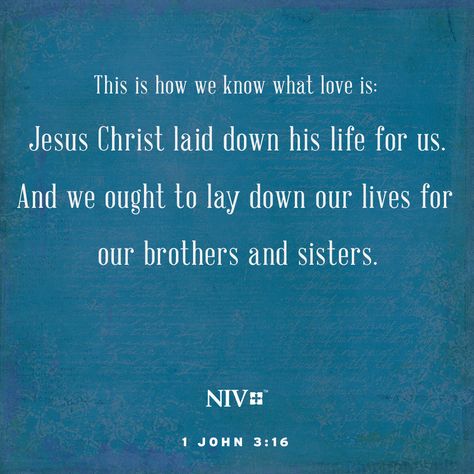 NIV Verse of the Day: 1 John 3:16 1 John 3 16, Niv Bible, Trusting God, Beautiful Scripture, Gods Word, Scripture Reading, John 3 16, Life Is Tough, John 3:16