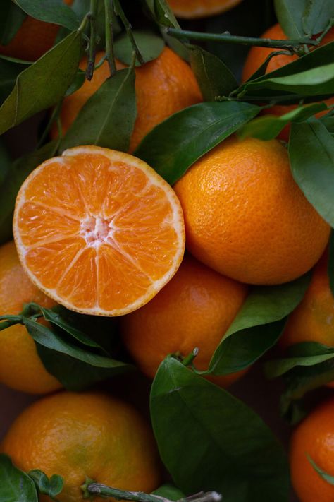 Clementine and Ginger Bucks Fizz — The Mother Cooker Clementine Fruit, Easy To Make Cocktails, Potassium Foods, Make Cocktails, Ginger Juice, A Very Merry Christmas, Very Merry Christmas, Fresh Ginger, Heart And Soul