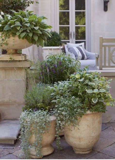 Courtyard Entertaining Area, Provencial Garden Design, Country Style Landscaping, French Country Potted Plants, Mediterranean Flower Pots, Flower Pots Around Trees, Potted Plants Front Of House, Big Garden Pots Ideas, English Garden Pots & Planters