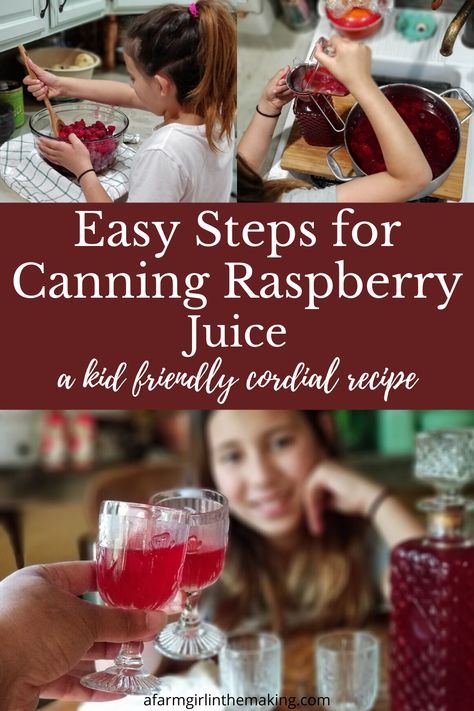 Raspberry juice can be canned! And what a perfect treat to have along with a homeschool literature study about Anne of Green Gables! Enrichment literature, kid-friendly cordials, and a tasty treat all at the same time!  #anneofgreengable #literatureenrichment #homeschoolunitstudy #preserving Canning Raspberry Juice, Raspberry Juice Homemade, Raspberry Juice Recipe, Canning Juice, Homeschool Literature, Raspberry Juice, Raspberry Cordial, Cordial Recipe, Literature Study