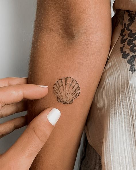 Beachy Tattoos, Shell Tattoo, Seashell Tattoos, Shell Tattoos, Petite Tattoos, Arrow Tattoo, Classy Tattoos, Discreet Tattoos, Dainty Tattoos