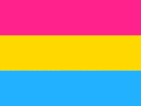 Pansexual- someone sexually attracted people of all genders. #prideflags Pan Flag, Pansexual Flag, Lgbtq Flags, Lgbt Flag, Pansexual Pride, Paper Trail, Backgrounds Wallpapers, Wallpaper Collection, Rainbow Flag