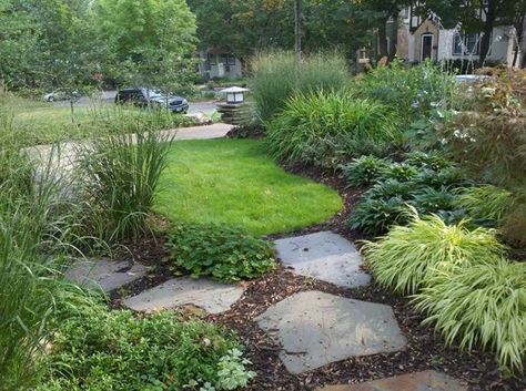 Design Ideas for Urban Front Yards | Minneapolis & St. Paul Urban Natural Landscaping – Field Outdoor Spaces Athyrium Niponicum, Low Maintenance Landscape Ideas, Natural Yard, Natural Landscape Design, Sloped Front Yard, Low Maintenance Landscape, Landscape Slope, Hakonechloa Macra, Painted Fern