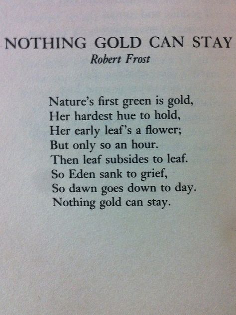 Nothing gold can stay Quotes Literature, Robert Frost Poems, Nothing Gold Can Stay, Robert Frost, Literary Quotes, A Poem, Poem Quotes, Wonderful Words, Poetry Books