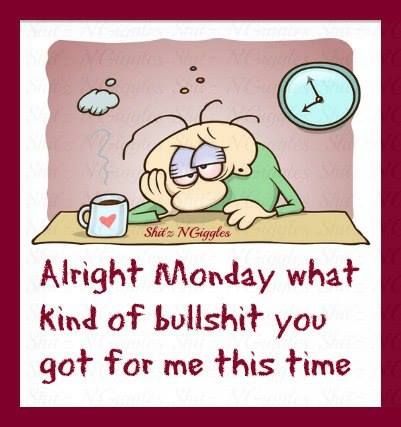 Pretty much so. Monday Sucks Humor, Monday Funnies, Months Quotes, Monday Sucks, Hate Mornings, Good Monday Morning, Monday Monday, Good Morning Monday, Short Funny Quotes