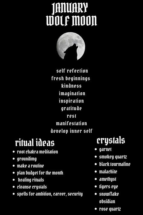 Monthly Correspondences, Wolf Moon Ritual, Moon Grimoire, New Moon In Capricorn, Moon In Capricorn, Moon Activities, Moon Meaning, Astrology Meaning, Moon Magick