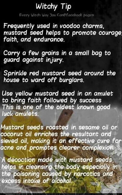 Mustard Seed Spiritual Uses, Mustard Seed Witchcraft, Magickal Tips, Every Witch Way, Witchcraft Spells For Beginners, Witch Board, Witch Tips, Magickal Herbs, Witchy Tips