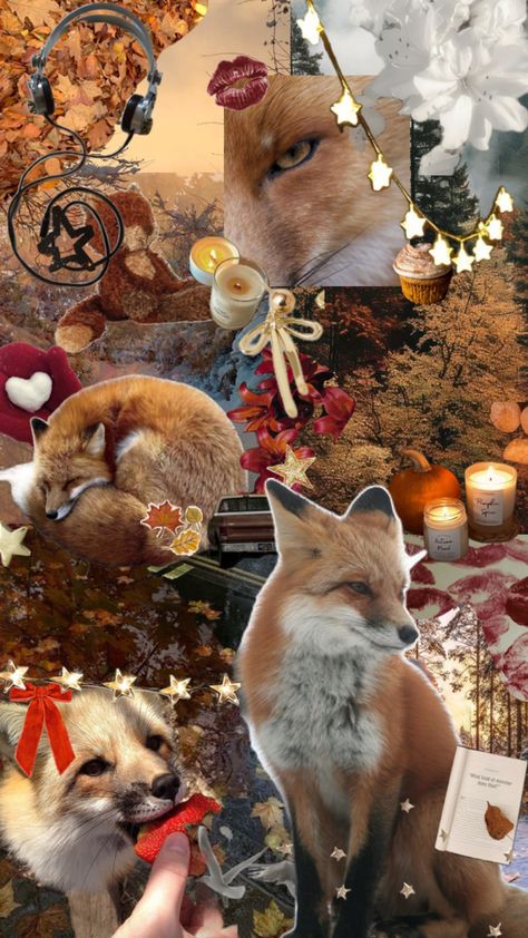 // fox themed wallpaper Red Fox Therian Wallpaper, Christmas Fox Wallpaper, Red Fox Wallpaper, Fox Therian Wallpaper, Fox Wallpaper Aesthetic, Cute Fox Wallpaper, Fox Wallpapers, Therian Wallpaper, Fox Therian