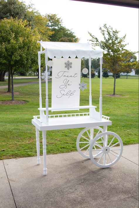 Party Cart, Popcorn Bar Sign, Frozen Themed Party, Party Rental Ideas, Candy Car, Sweets Bar, Fake Flower Arrangements, Sweet Carts, Fake Candles