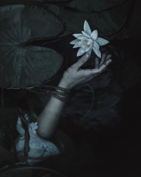 Natalia Drepina on Instagram: “And rejected by people, she was taken into the cradle of waters, and the river with motherly love rocked her in its arms.…” Motherly Love, Dark Mermaid, Water Nymphs, Ethereal Aesthetic, Gothic Romance, The Cradle, White Lotus, Love Rocks, White Eyes