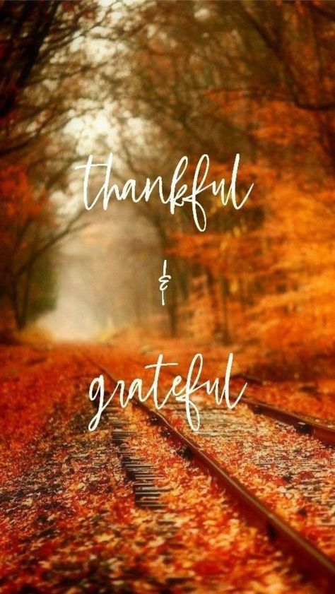 Thanksgiving Pictures, Thanksgiving Blessings, Thanksgiving Wishes, Photos Quotes, Hello November, Thanksgiving Wallpaper, Thanksgiving Greetings, Autumn Magic, Inspiration Photos