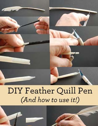 Learn how to use a DIY Feather Quill Pen in this free guide. Basic Drawing Techniques, How To Make Ink, Feather Quill Pen, Diy Feather, Calligraphy Tools, Quill And Ink, Feather Quill, Learning To Draw, Quill Pen