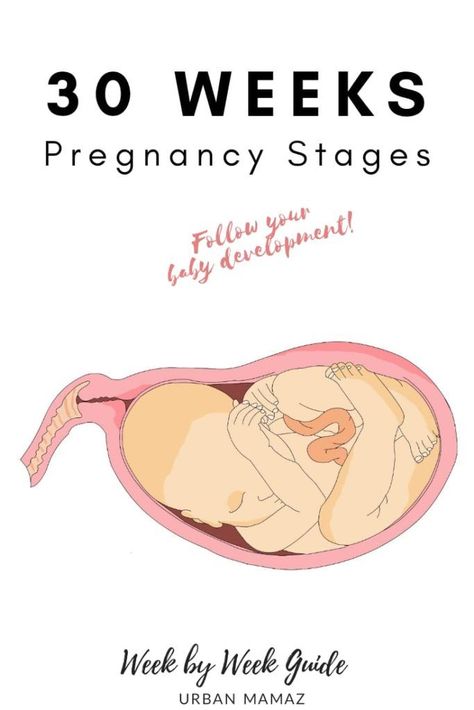 Pregnancy guide - 30 weeks. Are you pregnant? Wondering how is your baby developing? Discover your baby and pregnancy development - Week by week pregnancy guide- pregnancy trimesters, all the pregnancy stages- click here to read about 30 weeks pregnancy》 Pregnancy Trimesters, Pregnancy Development, Body Changes During Pregnancy, Week By Week Pregnancy, Diet While Pregnant, 30 Weeks Pregnant, Pregnancy Guide, Mommy Tips, 30 Weeks