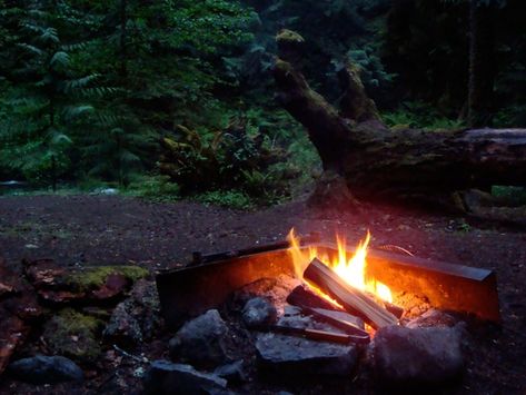 Sustainability Technology Blog - Sustainability Technology Wilderness Living, Review Quotes, Fire Image, Start A Fire, The Lord Is Good, Off Grid Living, The Wilderness, Survival Skills, Science And Nature