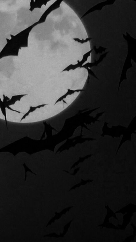 Vampire Background, Vampire Things, Spooky Halloween Wallpaper, Emo Backgrounds, Mixed Pictures, November Wallpaper, Alt Aesthetic, Goth Wallpaper, Gothic Wallpaper