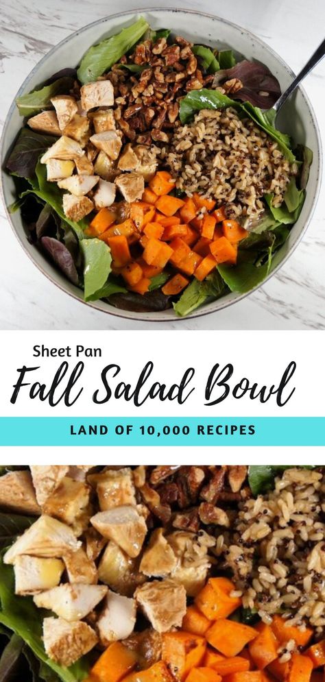 This Easy Sheet Pan Chicken & Sweet Potato Fall Salad Bowl is full of delicious and seasonal vegetables. Top your lettuce with roasted sweet potatoes & chicken, quinoa, pecans and finish it with an apple cider vinaigrette to create the most flavorful salad! Sweet Potatoes Chicken, Easy Sheet Pan Chicken, Sweet Potato Salad Recipe, Apple Cider Vinaigrette, Potatoes Chicken, Cider Vinaigrette, Balsamic Vinegar Chicken, Fall Salad, Seasonal Vegetables